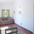Ulivo  (5)