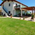 Olivella  (2)