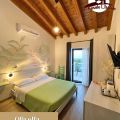 Olivella  (3)