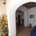 Girasole (1)