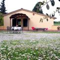 Sole (6)