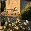 ARCHI (1)