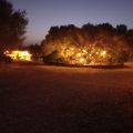 Camera 1 (7)