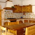 Falcone Reale (1)