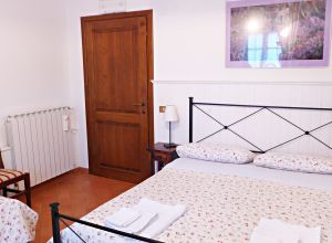 Descripción habitaciones 7