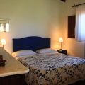 Leccio (1)