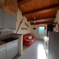 scoiattolo (1)