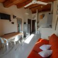 scoiattolo (3)