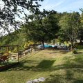 scoiattolo (4)