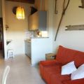 scoiattolo (6)