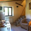 volpe (2)