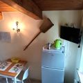 volpe (6)