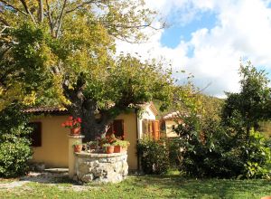 Descripción habitaciones 4