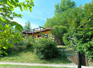 Descripción habitaciones 5