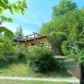 poiana (1)