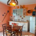 cinghiale (6)