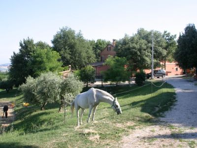 casa colonica in mezzo al verde a pochi km dal mar