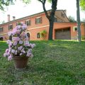 casa colonica in mezzo al verde a pochi km dal mar (1)