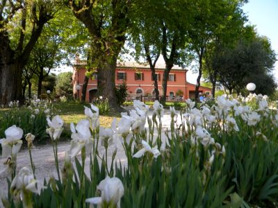 casa colonica in mezzo al verde a pochi km dal mar