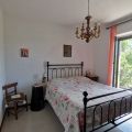 RosaSpina (1)