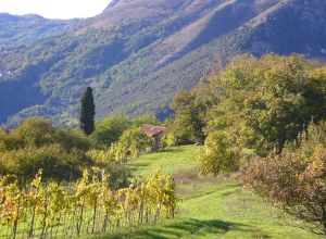 Description des chambres 4