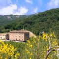 Intera struttura, 3 Casali / 11 Appartamenti con Piscina e vasca idromassaggio (1)
