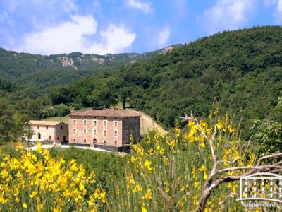 Intera struttura, 3 Casali / 11 Appartamenti con Piscina e vasca idromassaggio