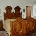 Leccio (1)
