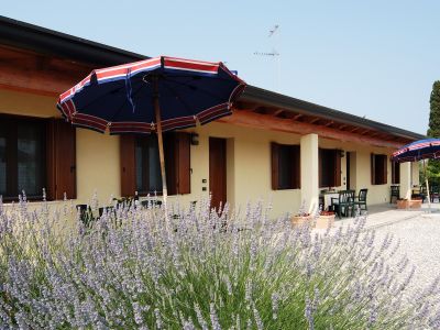 Masorini