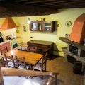 barbagianni (2)