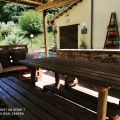 barbagianni (3)