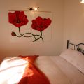 Papaveri - Poppies - Coqueliquots - Mohnblumen (1)