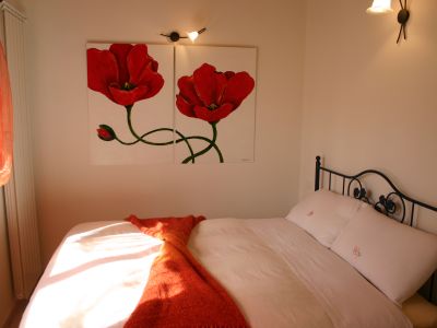 Papaveri - Poppies - Coqueliquots - Mohnblumen
