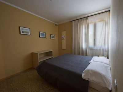 Olmo/Quercia