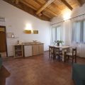 Olmo/Quercia (3)