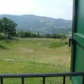 Faggio (1)
