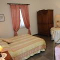 Olivo (1)