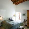 vigneto (4)