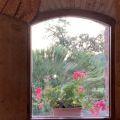 La Stallina (2)