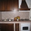 alloro (1)