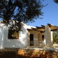 Villa Timo-Salvia 4 + 2 (1)