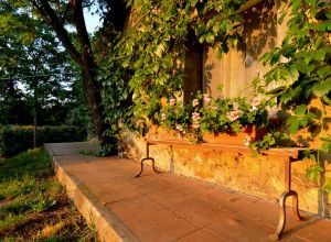 Description des chambres 2