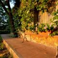 Il Noce - Casa con Giardino Privato (1)