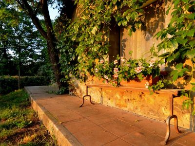 Il Noce - Casa con Giardino Privato