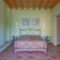 Fior di vigna (1)