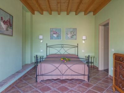 Fior di vigna