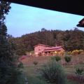 Casale i Falchi (1)