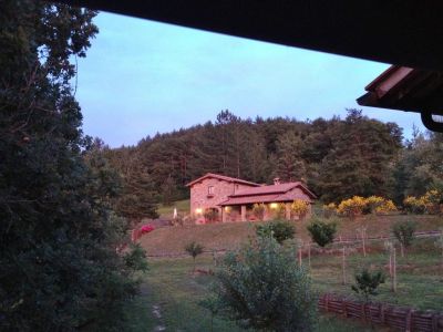 Casale i Falchi