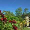 Agriturismo Il Casotto (1)