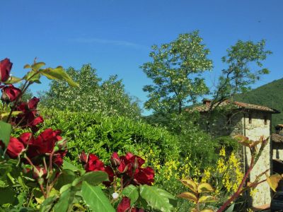 Agriturismo Il Casotto